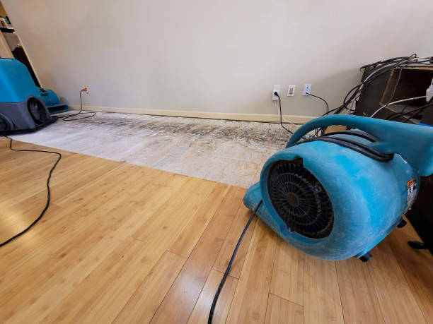 Reliable Basement Flood Cleanup contractor in Sterling, VA by Hirex Water Damage