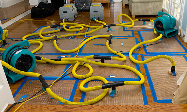 Professional Basement Flood Cleanup technician working in Sterling, VA
